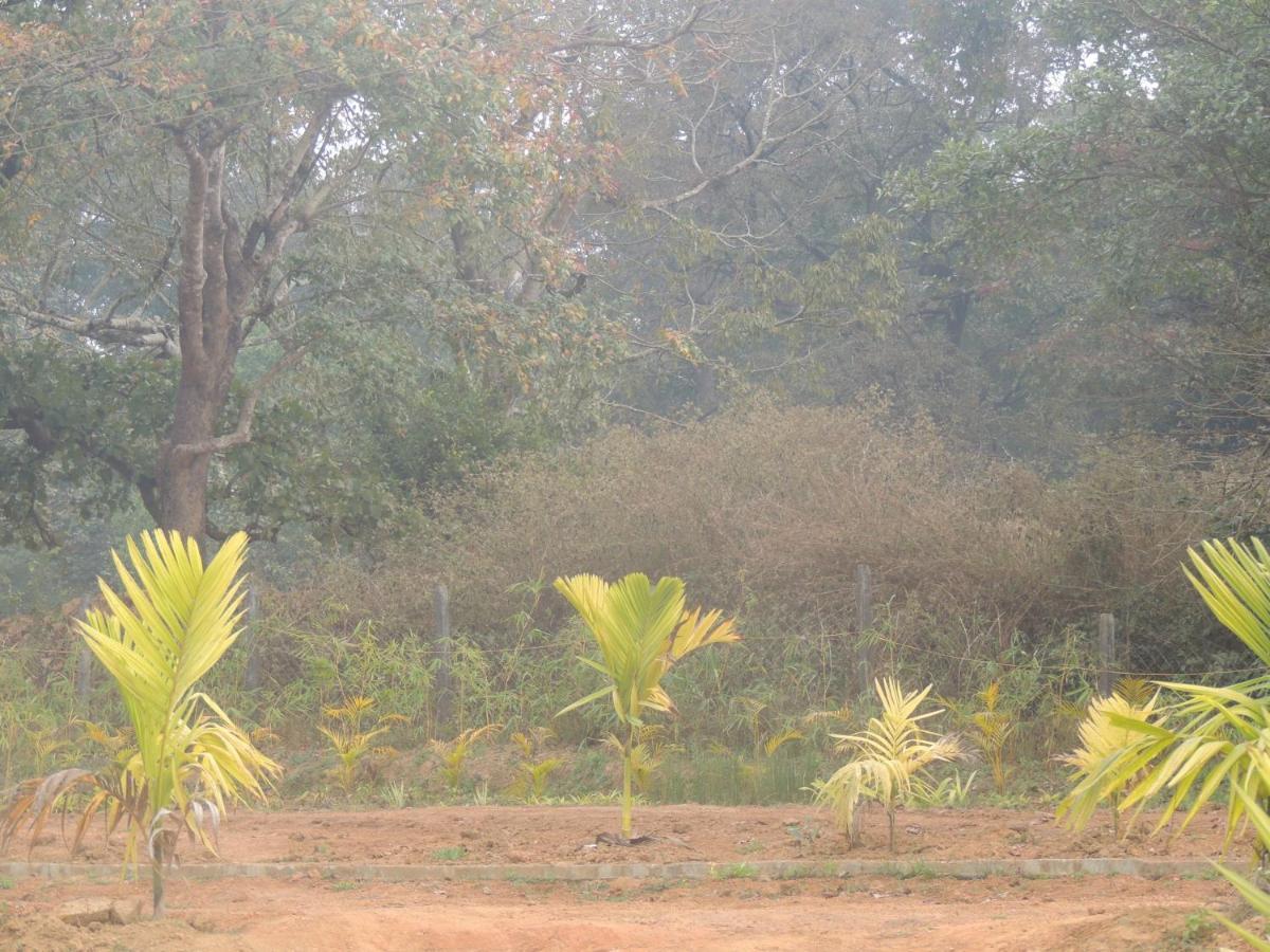 Dandeli Aura Daire Dış mekan fotoğraf